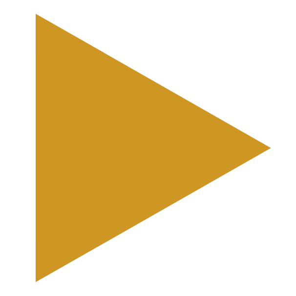 yellow triangle icon.